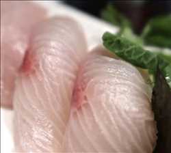 Yellowtail
